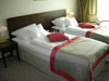 Двухместный номер Standard с раздельными кроватями отеля Devin 4**** в Братиславе