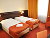 Двухместный номер Executive отеля Tatra**** в Братиславе
